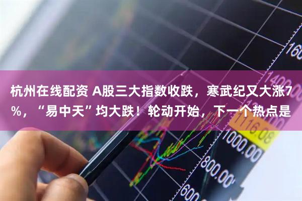 杭州在线配资 A股三大指数收跌，寒武纪又大涨7%，“易中天”均大跌！轮动开始，下一个热点是