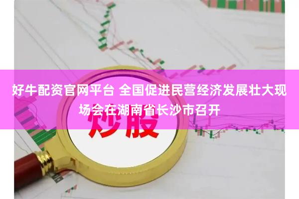 好牛配资官网平台 全国促进民营经济发展壮大现场会在湖南省长沙市召开