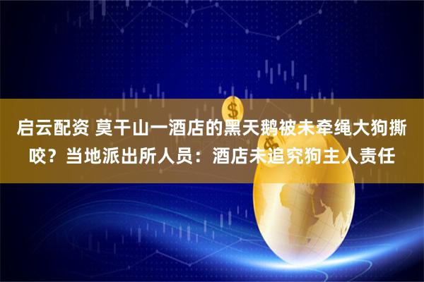 启云配资 莫干山一酒店的黑天鹅被未牵绳大狗撕咬？当地派出所人员：酒店未追究狗主人责任